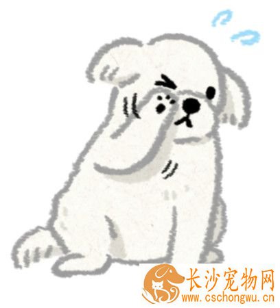 毛孩嘴巴怪怪的？可能食道卡异物要当心！