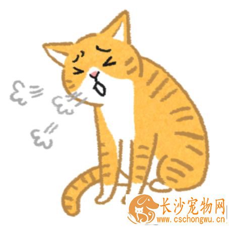 毛孩嘴巴怪怪的？可能食道卡异物要当心！