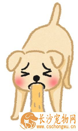 毛孩嘴巴怪怪的？可能食道卡异物要当心！