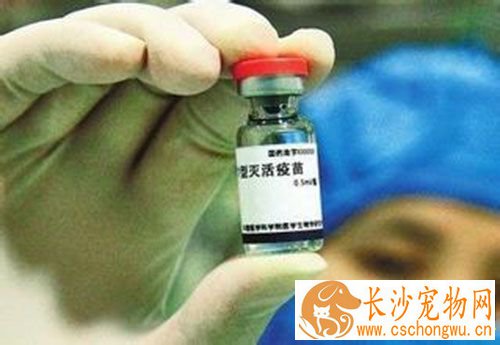 狂犬疫苗一般多少钱 人用狂犬疫苗是270到300左右