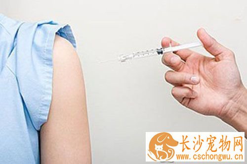 什么情况下必须打狂犬疫苗 阻止病毒的繁殖