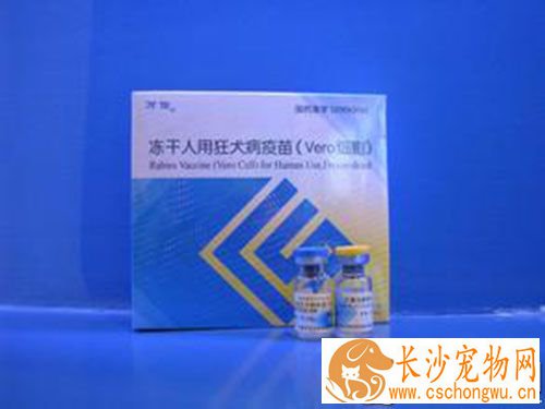 孕妇能不能打狂犬育苗 狂犬疫苗属于灭活疫苗
