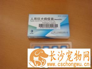 晚上哪里打狂犬疫苗 晚上打狂犬疫苗可以吗