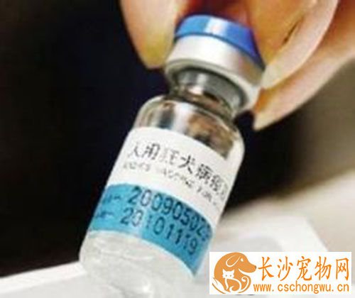 打了狂犬疫苗有什么症状 没有严重的不良反应