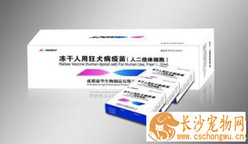 打完流感疫苗后咳嗽 接种反应是正常现象