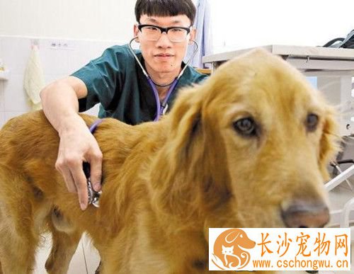 细小好转的症状 没有了呕吐拉血就是快好了