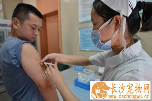 打完狂犬疫苗后头疼怎么回事 可自行缓解