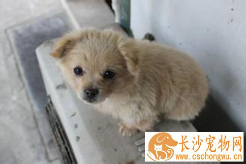 细小治疗过程 细小治愈需要的全过程