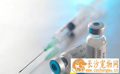 打完甲肝疫苗后发烧 要注意四周是否痛风透气