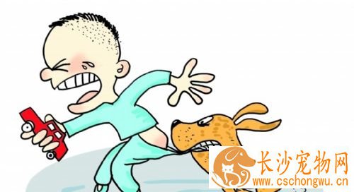 被打过针的狗咬了 打了疫苗的狗咬到要怎么办