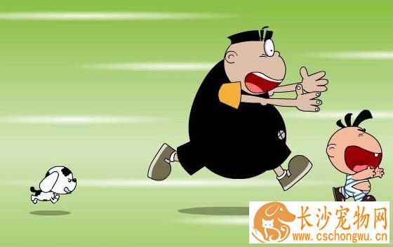 狗被狗咬伤了怎么办 被咬了吃什么好