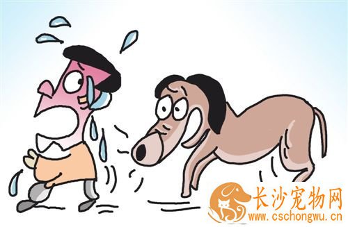 被狗咬了但是没有流血 伤口处理的方法
