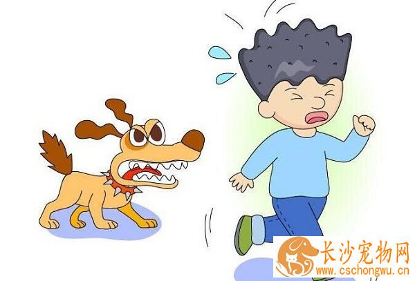 被宠物狗咬伤怎么处理 小孩被小狗咬了怎么办