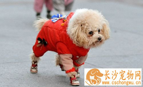 什么是咽炎 吞咽障碍和流涎是本病的特征