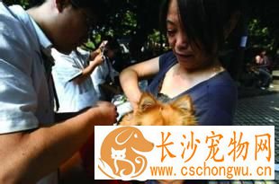 狗需要打什么疫苗 保护狗狗成长健康疫苗很重要