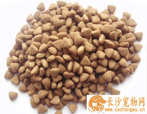 小狗什么时候可以吃干狗粮 多大可以吃干狗粮