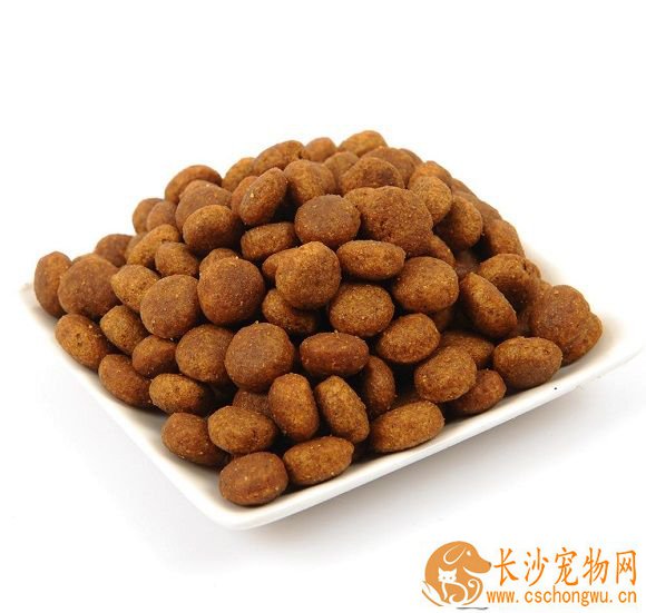 狗狗多大吃干狗粮 喂食狗狗的正确做法