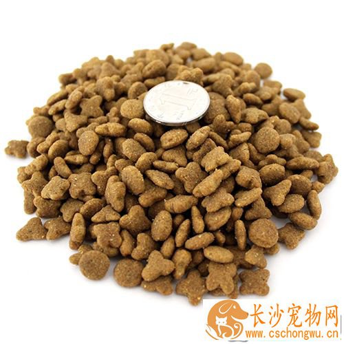 如何选购狗粮 狗粮需精挑细选